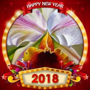 Meet your Posher, Evelia